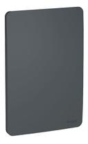 Placa 4x2 Cega Stella Black S730100294 - Orion Schneider