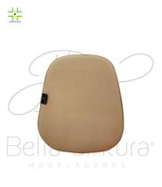 Placa abdominal Placa abdominal