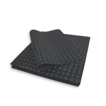 Placa Borracha Moeda 3mm 50x50cm Antiderrapante 20 unidades