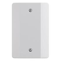 Placa cega 4x2 Millenium Mectronic Branca Placa cega 4x2 Millenium Mectronic Branca