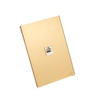 PLACA COM 1 CONECTOR RJ11 TOK GLASS DOURADO 4x2 PLACA COM 1 CONECTOR RJ11 TOK GLASS DOURADO 4x2