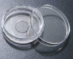 Placa Confocal 35x10mm Para Microscopia 10 Placas SPL 200350