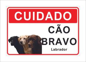 Placa Cuidado Advertência Cão Bravo Labrador 25X18Cm