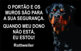 Placa Cuidado Cão Bravo Rottwailer 40x24 fundo preto Altopadrão