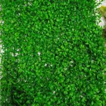 Placa De Grama Flor Arte Verde 40x60cm