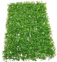 PLACA DE GRAMA RASTEIRA 40 x 60 cm