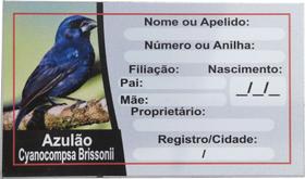 Placa de Identificação de Azulão Clássica