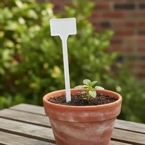 Placa de Identificação Grande para Plantas - 38 cm x 9 cm Placa de Identificação Grande para Plantas - 38 cm x 9 cm