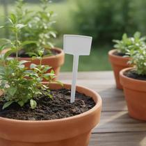 Placa de Identificação Pequena para Plantas - 15cm x 5cm Placa de Identificação Pequena para Plantas - 15cm x 5cm