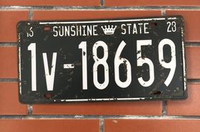 Placa de licença vintage retro Sunshine State para decoração de parede Placa de licença vintage retro Sunshine State para decoração de parede