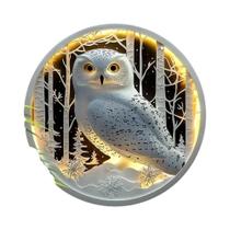 Placa De Madeira Luminosa De Coruja 2D Superfície Plana Redonda Para Pendurar Na Porta Da Frente Placa De Madeira Luminosa De Coruja 2D Superfície Plana Redonda Para Pendurar Na Porta Da Frente