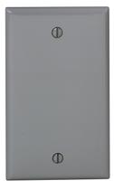 Placa de parede Leviton WP 1G BLANK BOX MNT THERMOPL Grey