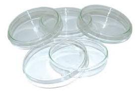 Placa de petri de vidro transparente 100x15mm pacote com 5 unidades