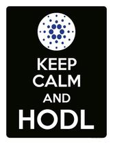 Placa Decoraçao - Keep Calm Hodl Hold Cardano Ada 27X35