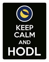 Placa Decoraçao - Keep Calm Hodl Hold Terra Luna 27X35