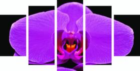 Placa Decorativa 5 Partes Sala Orquídeas Flores 25