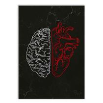 Placa Decorativa A2 Psicologia Cérebro Coração Razão Emoção