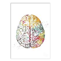 Placa Decorativa A2 Psicologia Cérebro Humano Pintura