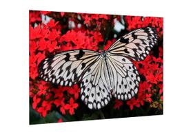 Placa decorativa - borboleta e flores decoração Placa decorativa - borboleta e flores decoração