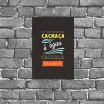 Placa Decorativa Cachaça Não É Água Não 18x27cm