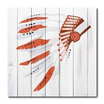 Placa Decorativa - Cocar Indigena - 0295plmk