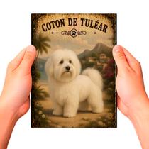 Placa Decorativa Coton de Tuléar Cachorro Pet MDF Placa Decorativa Coton de Tuléar Cachorro Pet MDF