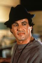 Placa Decorativa em MDF Coleção filme Rocky Balboa I, II , III , IV , V 20cm X 28cm