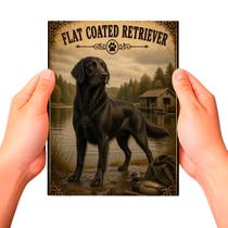 Placa Decorativa Flat Coated Retriever Cachorro Pet MDF Placa Decorativa Flat Coated Retriever Cachorro Pet MDF