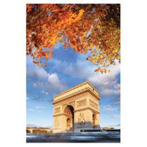 Placa Decorativa Foto Paris Arco Do Triunfo Flores Mdf 20X30