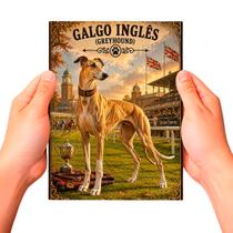 Placa Decorativa Galgo Inglês Cachorro Pet MDF Placa Decorativa Galgo Inglês Cachorro Pet MDF