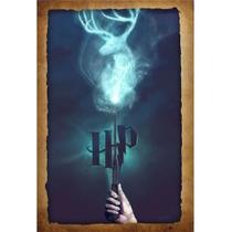PLACA DECORATIVA - Harry Potter - Varinha Mágica