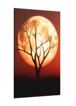 Placa decorativa - lua cheia árvore galhos noite