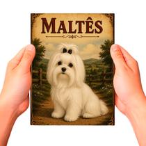 Placa Decorativa Maltês Cachorro Pet MDF Placa Decorativa Maltês Cachorro Pet MDF