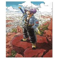 Placa Decorativa MDF Ambientes 30 cm x 20 cm - Trunks Dragon Ball Z (Bx76)