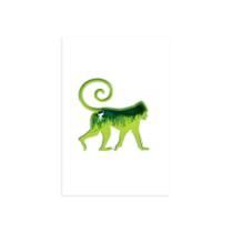 Placa Decorativa MDF Animais Macaco 20x30cm