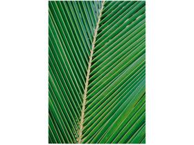 Placa Decorativa MDF Folha 30x44cm