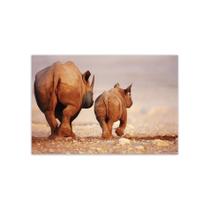 Placa Decorativa MDF Foto Safari Rinoceronte 20x30cm Placa Decorativa MDF Foto Safari Rinoceronte 20x30cm