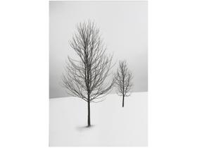 Placa Decorativa MDF Inverno 30x44cm