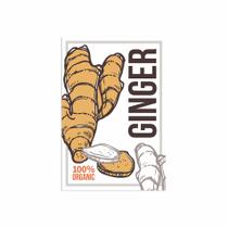 Placa Decorativa MDF Tempero Frase Ginger Organic 30x40cm