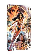 Placa decorativa - mulher maravilha wonder woman dc comics
