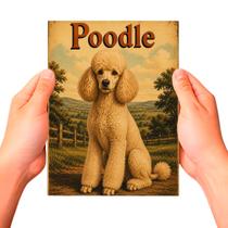 Placa Decorativa Poodle Cachorro Pet MDF