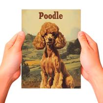 Placa Decorativa Raças Cachorro Vintage Poodle Cor: Sortido