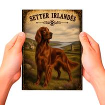 Placa Decorativa Setter Irlandês Cachorro Pet MDF Placa Decorativa Setter Irlandês Cachorro Pet MDF