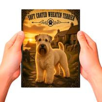 Placa Decorativa Soft Coated Wheaten Cachorro Pet MDF Placa Decorativa Soft Coated Wheaten Cachorro Pet MDF