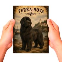 Placa Decorativa Terra-Nova Cachorro Pet MDF