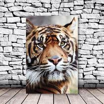 Placa Decorativa Tigre