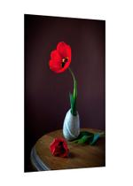 Placa decorativa - vaso tulipa vermelha flores