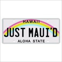 Placa Decorativa Vintage de Carro - Hawaii Aloha State Placa Decorativa Vintage de Carro - Hawaii Aloha State