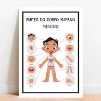 Placa Educacional Partes do Corpo Humano Menino Placa Educacional Partes do Corpo Humano Menino