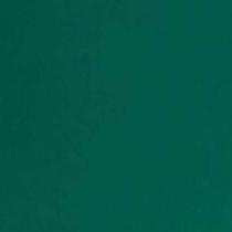 Placa em eva 47x40cm verde bandeira 1,8mm. dubflex